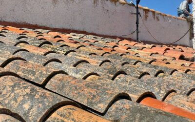 Articulo Blog 1